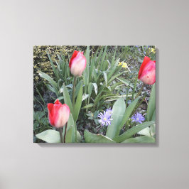 Rode tuintulpen canvas afdruk