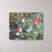 Rode tuintulpen canvas afdruk (Voorkant)