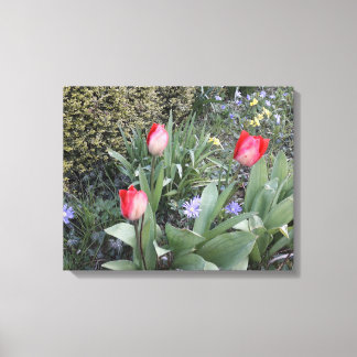 Rode tuintulpen canvas afdruk