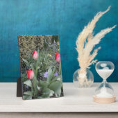 Rode tuintulpen fotoplaat (Zijkant)
