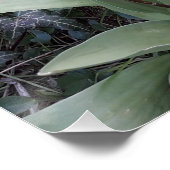 Rode tuintulpen perfect poster (Hoek)