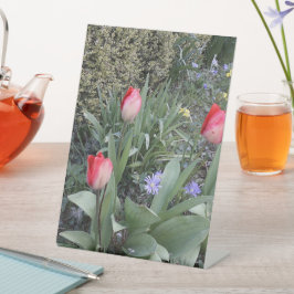 Rode tuintulpen reclamebord met voetstuk
