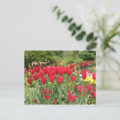 RODE TULIPS BRIEFKAART (Staand voorkant)