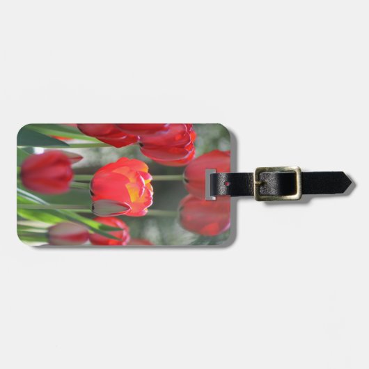 Rode Tulp Bagage Label Persoonlijk (Voorkant horizontaal)