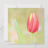 rode tulp bloem alle feest uitnodiging (Achterkant)
