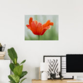 Rode Tulp Bloem Close-up Bloemblad Natuurfotografi Poster (Thuiskantoor)