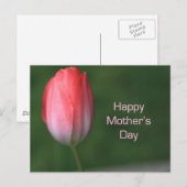rode tulp bloem, gelukkige moederdag briefkaart (Voorkant / Achterkant)