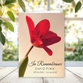 Rode Tulp Bloem Lente Begrafenisdienst Opgevouwen Programma