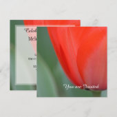 Rode Tulp Bloem Verjaardag Kaart (Voorkant / Achterkant)