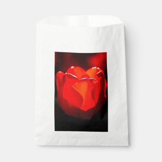 Rode Tulp Bloem - Vuur Bedankzakje (Voorkant)
