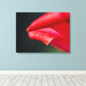 Rode Tulp Bloemblad Close-up Macro Foto Canvas Afdruk (Insitu (Houten vloer))