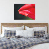 Rode Tulp Bloemblad Close-up Macro Foto Canvas Afdruk (Insitu (Slaapkamer))
