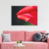 Rode Tulp Bloemblad Close-up Macro Foto Canvas Afdruk (Insitu (Woonkamer))