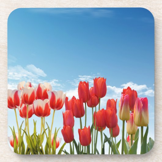 Rode Tulp Bloemen-30247 Bier Onderzetter (Voorkant)