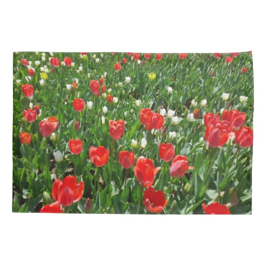 Rode Tulp Bloemenveld Natuurfotografie Kussensloop (Achterkant)
