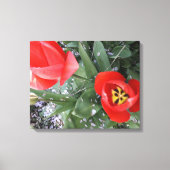 Rode tulp canvas afdruk (Voorkant)