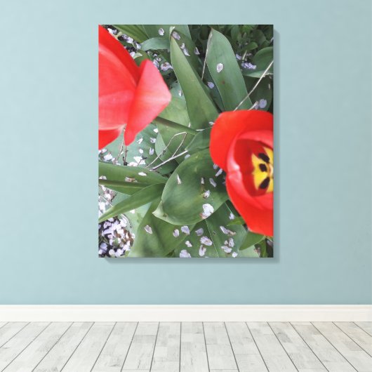 Rode tulp canvas afdruk (Insitu (Houten vloer))