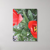 Rode tulp canvas afdruk (Voorkant)