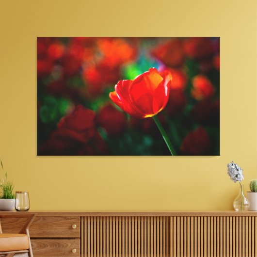 Rode tulp canvas afdruk (Insitu (Woonkamer))
