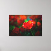 Rode tulp canvas afdruk (Voorkant)