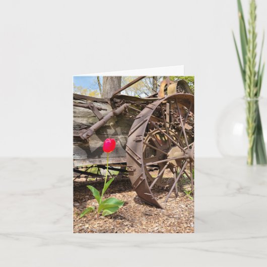 Rode Tulp en Oude Wagon Note Kaart (Voorkant)
