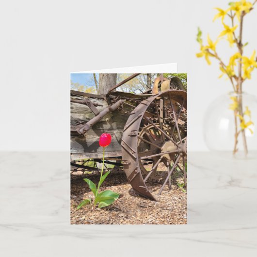 Rode Tulp en Oude Wagon Note Kaart (Gele Bloem)