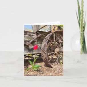 Rode Tulp en Oude Wagon Note Kaart