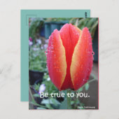 Rode Tulp en Regendruppels bloemig Wees Eerlijk Te Briefkaart (Voorkant / Achterkant)