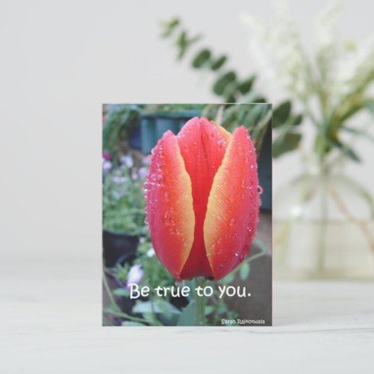 Rode Tulp en Regendruppels bloemige Wees Eerlijk T Briefkaart (Staand voorkant)