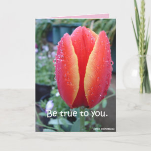 Rode Tulp en Regendruppels bloemige Wees Eerlijk T Kaart