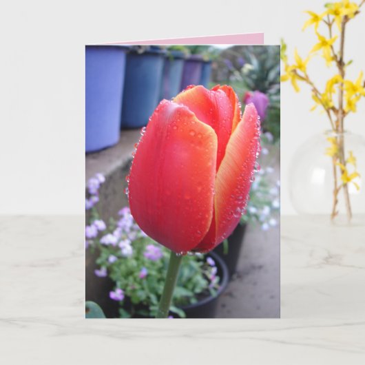 Rode Tulp en Regendruppels bloemkaarten Kaart (Gele Bloem)