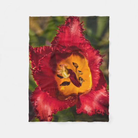 Rode tulp fleece deken (Voorkant)