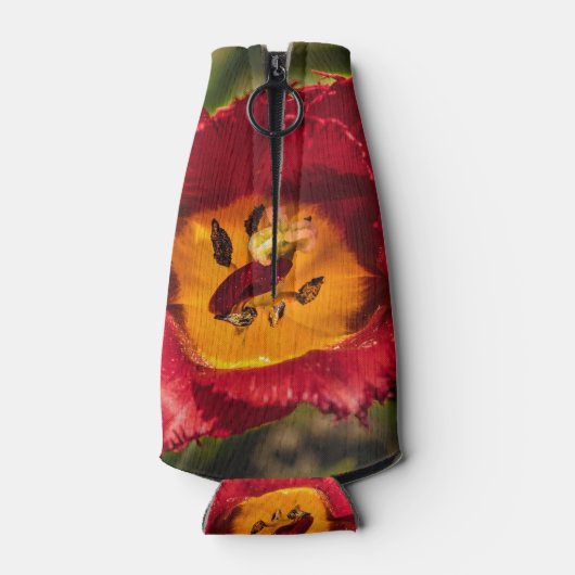 Rode tulp flesjeskoeler (Achterkant)