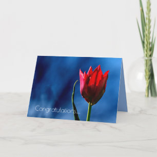 Rode Tulp Gelukkige Scheidingdag Kaart