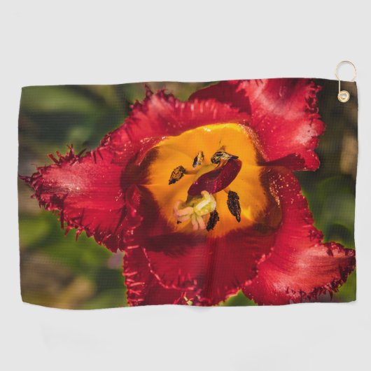 Rode tulp golfhanddoek (Horizontaal)