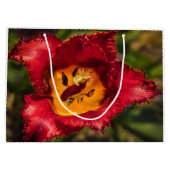 Rode tulp groot cadeauzakje (Achterkant)