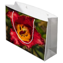 Rode tulp groot cadeauzakje