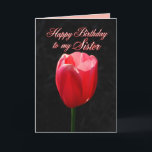 Rode Tulp Happy Birthday Sister Kaart<br><div class="desc">U kunt de tekst personaliseren,  wijzigen en uw eigen foto's uploaden. "Liefste zuster,  Uw schoonheid,  liefde en genade zijn vreugdevolle geschenken voor allen om te koesteren. Ik heb geluk dat je mijn neef bent! Hopelijk is je verjaardag net zo mooi als jij! Veel liefde!"</div>