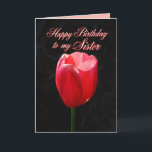Rode Tulp Happy Birthday Sister Kaart<br><div class="desc">U kunt de tekst personaliseren,  wijzigen en uw eigen foto's uploaden. "Liefste zuster,  Uw schoonheid,  liefde en genade zijn vreugdevolle geschenken voor allen om te koesteren. Ik heb geluk dat je mijn neef bent! Hopelijk is je verjaardag net zo mooi als jij! Veel liefde!"</div>