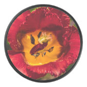 Rode tulp hockey puck (Voorkant)