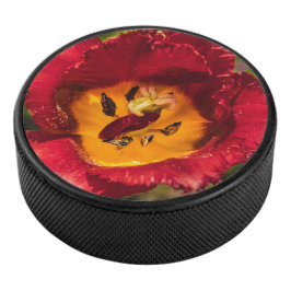 Rode tulp hockey puck