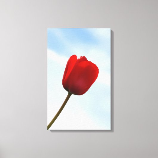 Rode Tulp in Canvas Gewikkeld Afdruk (Voorkant)