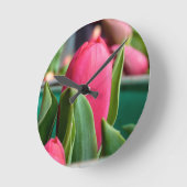 Rode tulp in de lentekker ronde klok (Hoek)