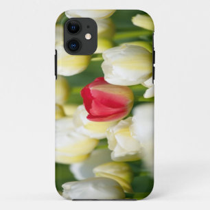 Rode tulp in een veld met witte tulpen iPhone 11 hoesje