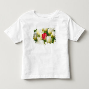 Rode tulp in een veld met witte tulpen kinder shirts