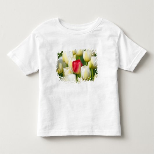 Rode tulp in een veld met witte tulpen kinder shirts (Voorkant)