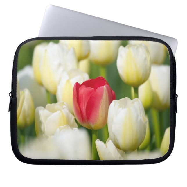 Rode tulp in een veld met witte tulpen laptop sleeve (Voorkant)