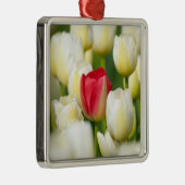 Rode tulp in een veld met witte tulpen metalen ornament (Rechts)