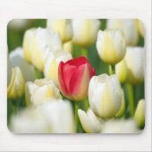 Rode tulp in een veld met witte tulpen muismat (Voorkant)