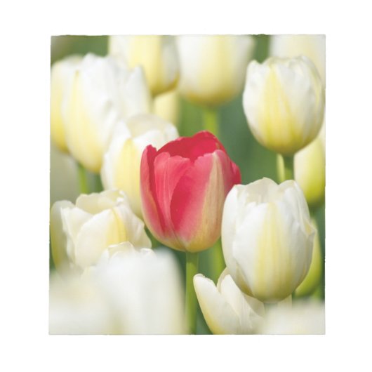 Rode tulp in een veld met witte tulpen notitieblok (Voorkant)